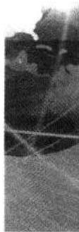 8f9243bf040ba3e3276b302aa82693207f963d830d1610c7cad71460a7b50875.jpg
